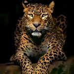 Eric Dyer - @eric.dyer.73594 - Instagram