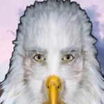 Eric Eagle - @eric.eagle1 - Instagram