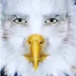Eric Eagle - @eric_eagle__ - Instagram