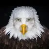 Eric Eagle - @eric.eagle.official - TikTok