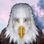 @eric_eagle_ - Instagram