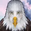Eric Eagle - @ericeagle.off - TikTok