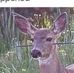 Eric Eastridge - Facebook