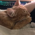 Eric Eckerle - @ericckrl - Instagram