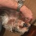 Eric Edenfield - Facebook