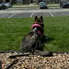 Eric Edwards - @eric.edwards31 - TikTok