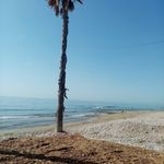 Erik Eggert - @erik.eggert - Instagram