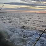 Eric Eifert - Facebook