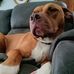 Eric Eitniear - Facebook