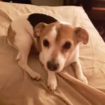 Eric Eldridge - @dra.gon43 - Instagram