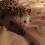 Eric Eldridge - @ericeldridge6767 - Instagram