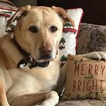 Eric Eldridge - @woodchopper13 - Instagram
