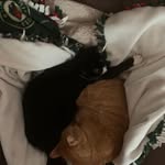 Eric Ellsworth - @eric.ellsworth.908 - Instagram