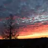 ericembree729 - @ericembree729 - TikTok