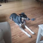 Eric Ender - @ericender3 - Instagram