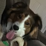 Eric Endsley - @eroc.endsley - Instagram