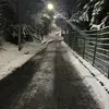 Iris Ernenputsch - @iris.ernenputsch - TikTok