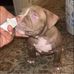 Eric Ervin - Facebook
