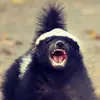 SheepDog - @ericeubanks2 - TikTok
