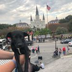 Eric Everett - @eric_in_the_air12 - Instagram
