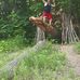 Eric Everson - Facebook