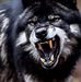 Eric Farley - Facebook