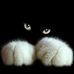 Eric Faust - Facebook
