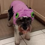 Eric Featherstone - @ericfeatherstone1960 - Instagram