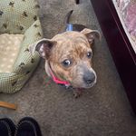 Eric Felder - @felder1958 - Instagram
