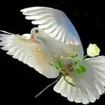 Eric Feria - Facebook