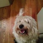 Eric Fields - @fields.eric - Instagram