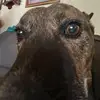 ericthefirst🙀 - @ericthefirstprincess - TikTok