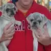 Eric Fisbeck - @eric.fisbeck - TikTok
