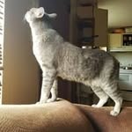 Erik Flatten - @erikflatten - Instagram