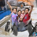 Eric Glenn Florendo - @eric.florendo.75 - Instagram