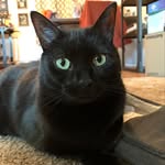 Eric Fraley - @efral615 - Instagram