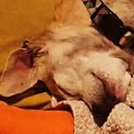 Eric Freeman - @ericfreebinson - Instagram