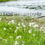 Eric Fuller - @efuller_photography - Instagram