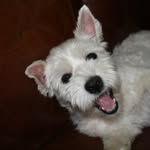 Eric Fuller - @bogus11 - Instagram