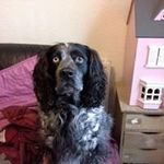 Eric Gillespie - @ericgillespie56 - Instagram