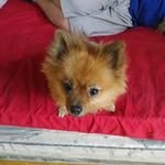 eric glassberg - @ericglassberg - Instagram