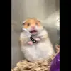 user3568108717958 - @erikgrasberg - TikTok