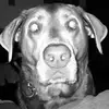 Eric Grady - @ericgrady59 - TikTok