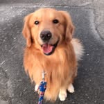 ericgram… - @goodboy_eric - Instagram