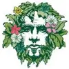 ericgreenman8 - @ericgreenman8 - TikTok