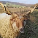 Eric Latif Greveling - @ericlatifgreveling - Instagram