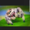 Eric Gross - @eric.gross2 - TikTok