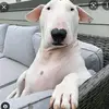 ericgrozav0 - @ericgrozav0 - TikTok