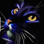 Eric Guimond - Facebook