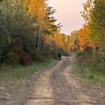 Eric Guitard - Facebook